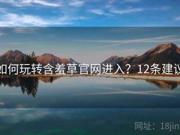 如何玩转含羞草官网进入？12条建议