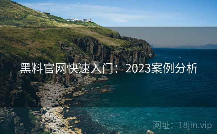 黑料官网快速入门:2023案例分析 黑料官网快速入门:2023案例分析