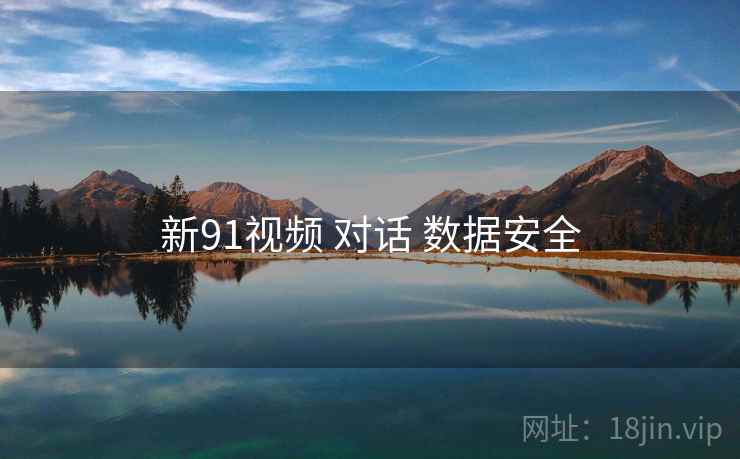 新91视频 对话 数据安全