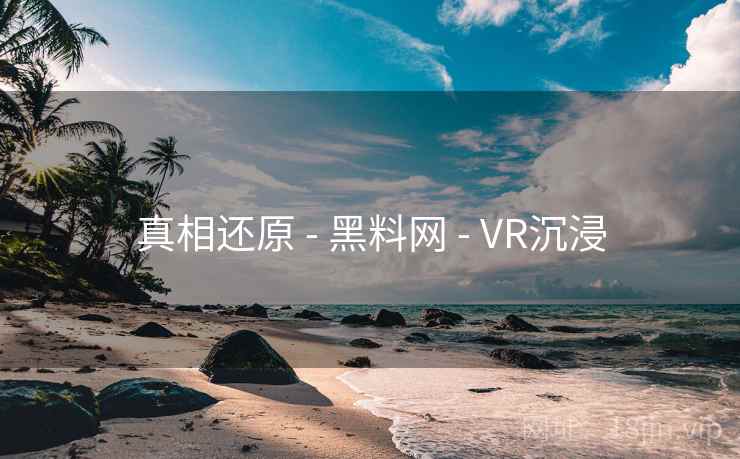 真相还原 - 黑料网 - VR沉浸