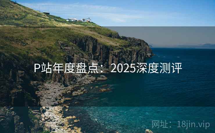 P站年度盘点：2025深度测评