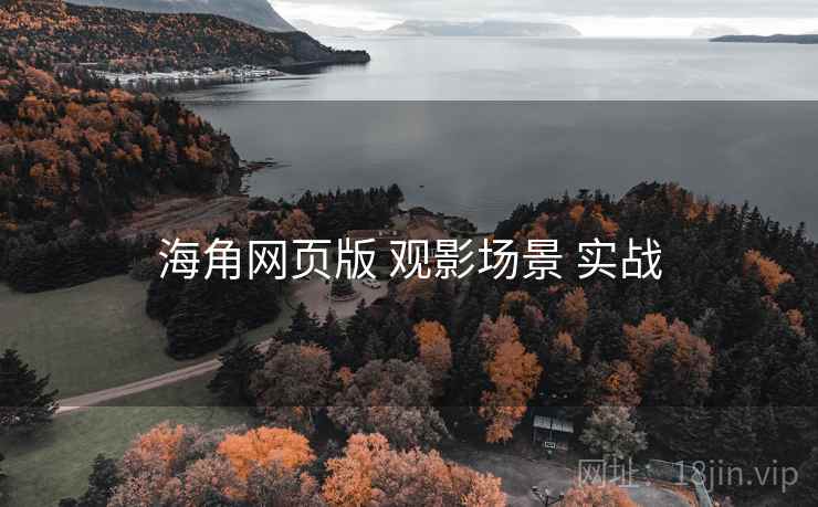 海角网页版 观影场景 实战