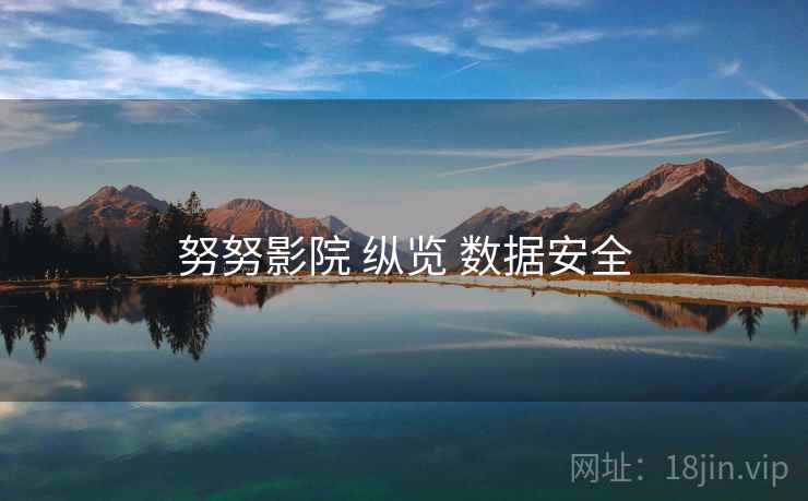 努努影院 纵览 数据安全