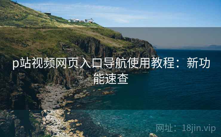 p站视频网页入口导航使用教程：新功能速查