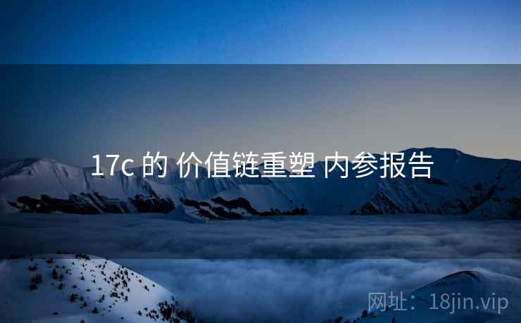 17c 的 价值链重塑 内参报告 17c 的 价值链重塑 内参报告