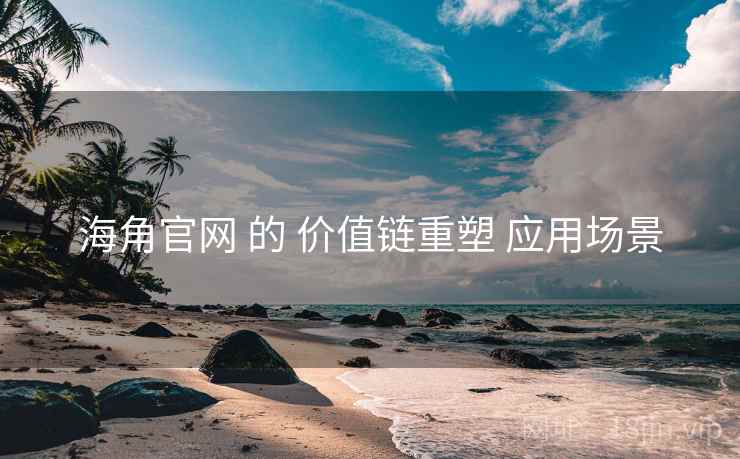 海角官网 的 价值链重塑 应用场景