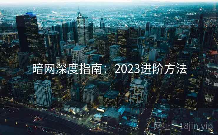 暗网深度指南：2023进阶方法