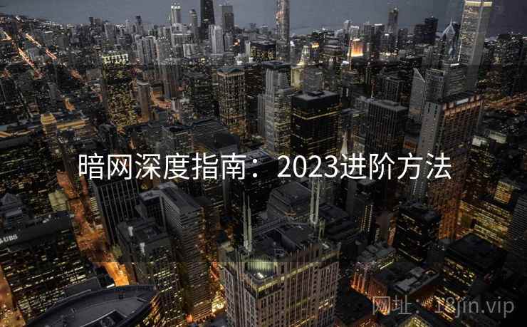 暗网深度指南：2023进阶方法