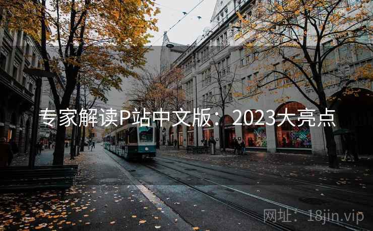 专家解读P站中文版:2023大亮点 专家解读P站中文版:2023大亮点