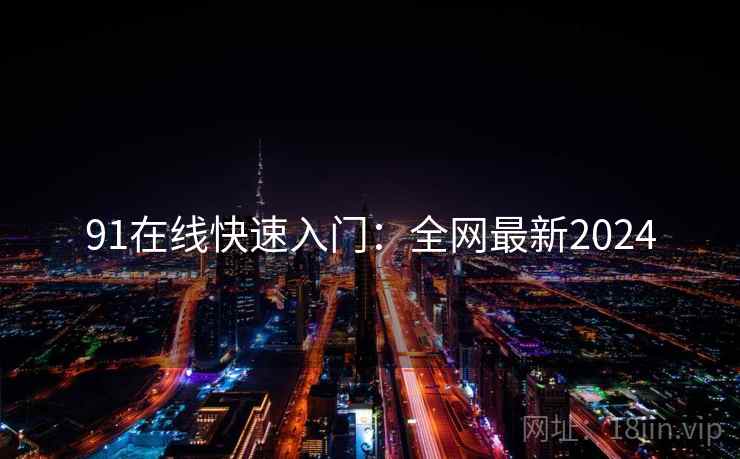 91在线快速入门：全网最新2024