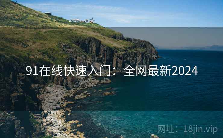 91在线快速入门：全网最新2024