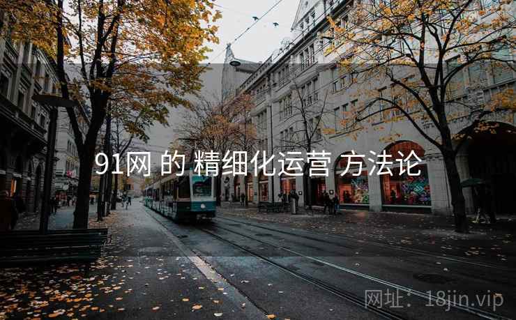 91网 的 精细化运营 方法论 91网 的 精细化运营 方法论